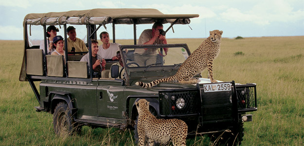 Southern Africa Safari