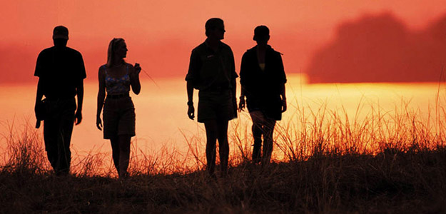 Silhouettes at sunset in South Africa.