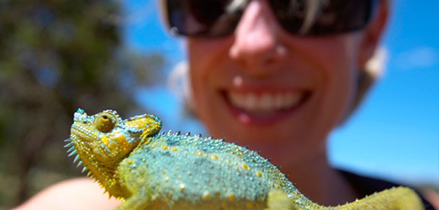 Dnv_banner_kenya_cameleon