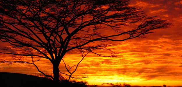 Usambara Mountain Cultural Trek