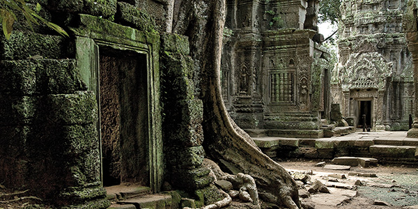 Avev-cambodia%20ta%20prohm%20temple-leo%20tamburri%202010-imgp9987%20lg%20rgb
