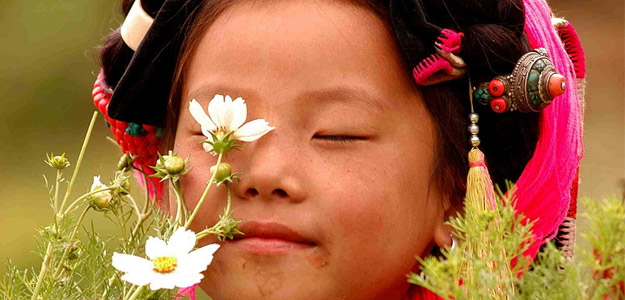 Acfa_banner_china_girl_flower