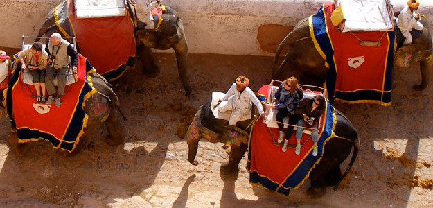 Ahbs_banner_india_elephant_ride