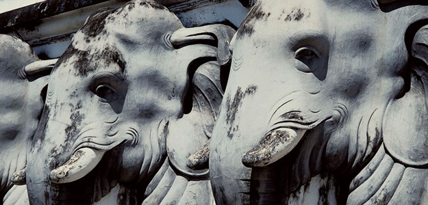 Assp_banner_sri_lanka_elephant_carving