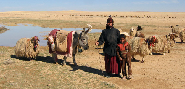 Syrian Caravan