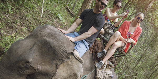 Atra-thailand%20chang%20mai%20elephant%20ride%20travellers%20paul%20jorja%20taylor-shereen%20mroueh%202013-%20hn1a5999%20processed%20lg%20rgb