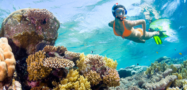 A woman snorkelling in the turquoise-blue Belize-an waters