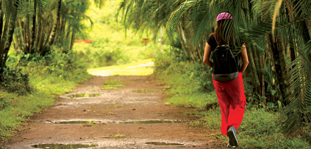 Crbr-costa-rica-trail-female-hiker-is-5131452-md-rgb