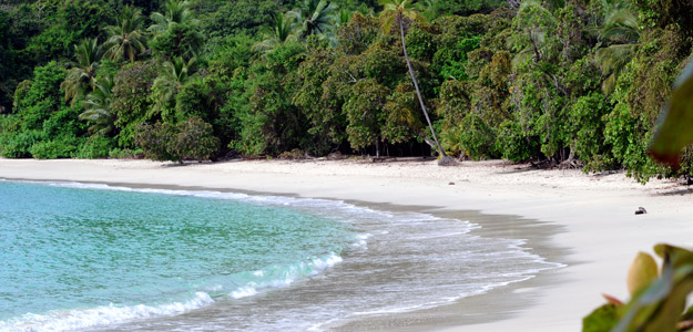 Costa Rica Learn to Surf