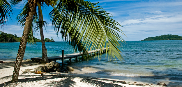 Cpph_banner_panama_bocas_del_toro_dock_palms