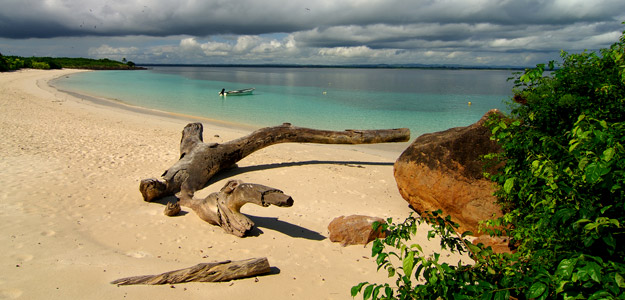 Panama Experience
