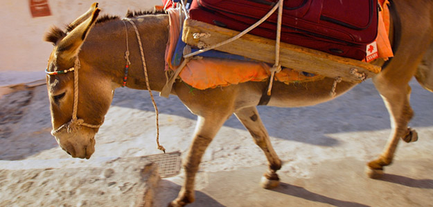 Greek Islands Sailing Adventure (Kos to Mykonos)