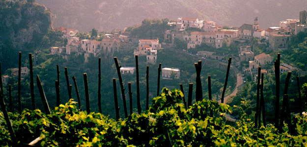Amalfi Coast Local Living