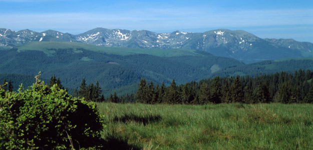 Eatc_romania