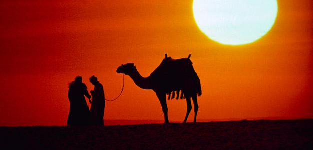 Ancient Egyptian Secrets