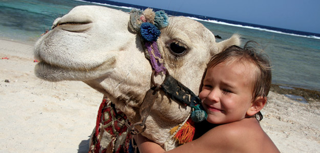 Egypt Family Adventure