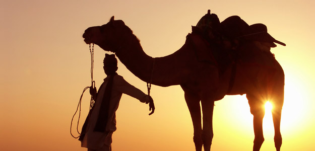 Dpge_banner_egypt_camel_desert_sunset_yellow