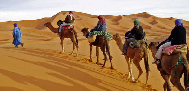 Dcfa_banner_morocco_desert_camels_