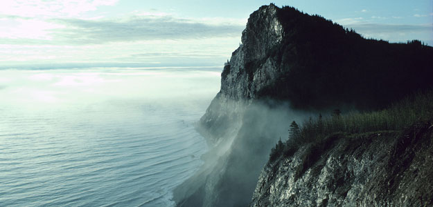 Newfoundland Active Escape