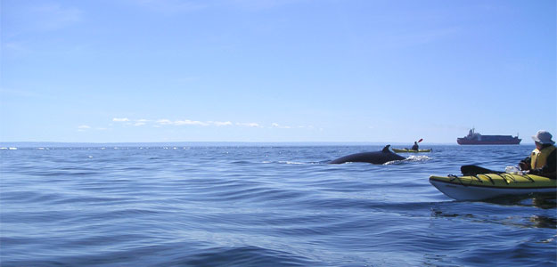 Quebec Active Escape