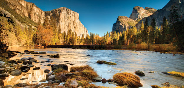 Southwestern Deserts and Pacific Forests