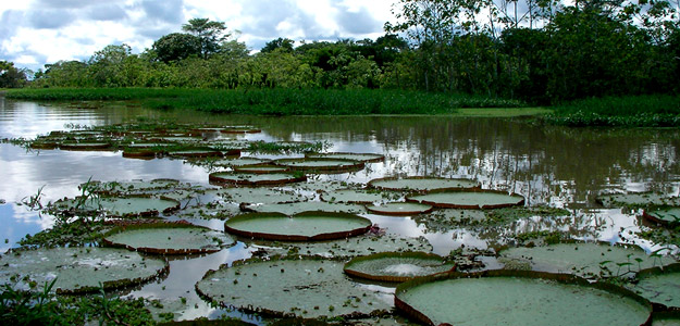 Posadas Amazonas Peru