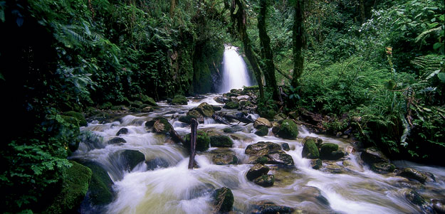 G Lodge Amazon - 4 days