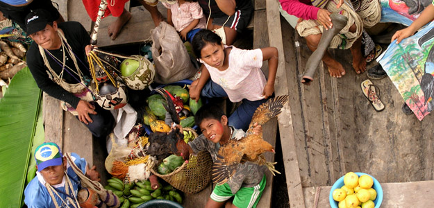 Refugio Amazonas Lodge & Tambopata Research Centre Peru - 5 Days