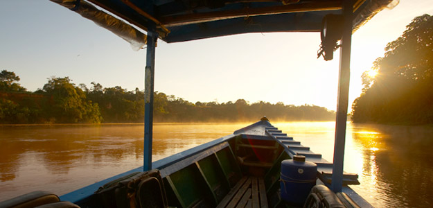 Refugio Amazonas Lodge & Tambopata Research Centre Peru - 7 Day