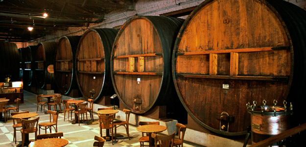 Mendoza Wine Experience