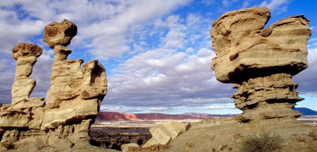 Salta Experience