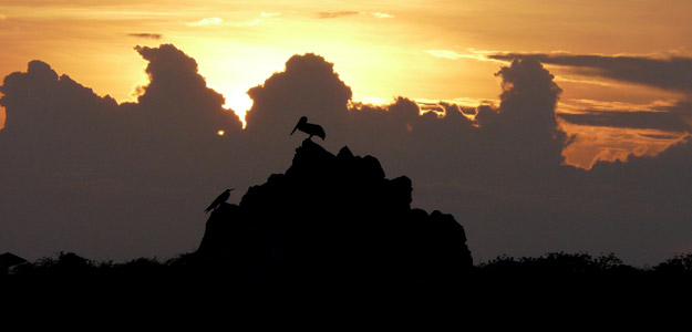 Voyage Galapagos - Southern Islands