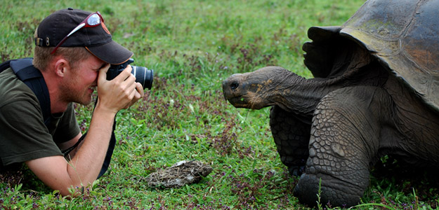 Wildlife & Inca Encompassed
