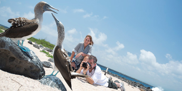 Ecuador-galapagos-blue-footed-boobies-photo-travellers-sev10nd