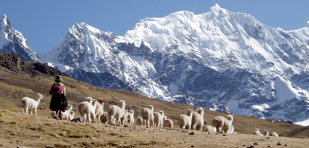 Andean Discovery