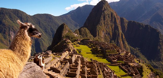 Pei_banner_peru_landscape_alpaca_in_front_of_ruins