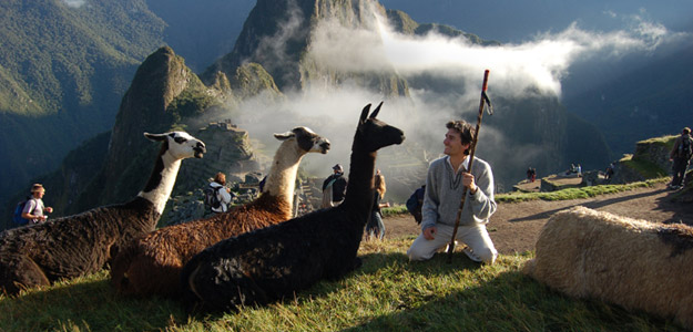 Phpt_banner_peru_people_man_in_front_of_alpacas