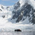 Antarctica
