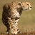 Tanzania
