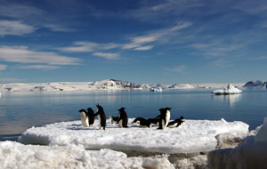 Antarctica