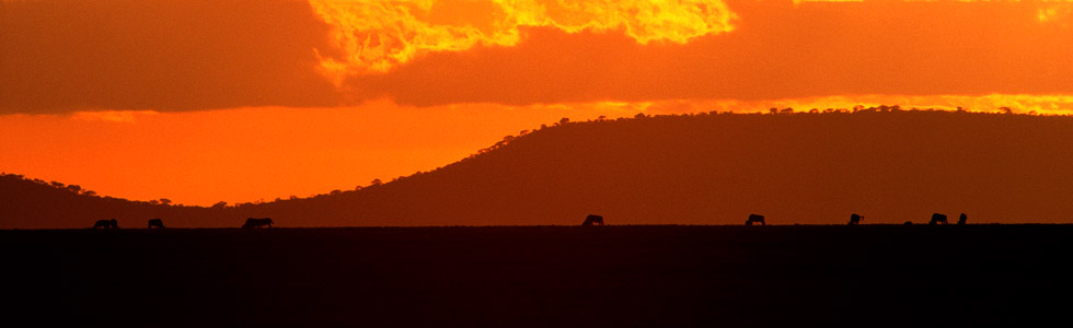 Overland Tours
