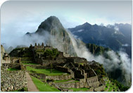 Top 20 Trips