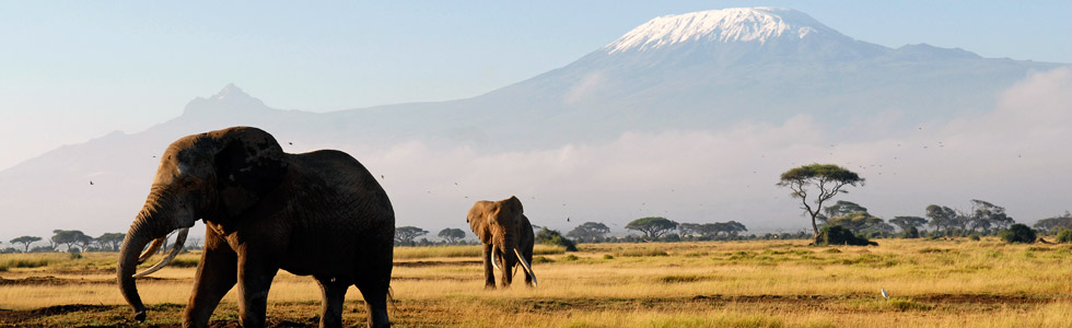 Why travel with G Adventures?