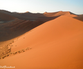 In Namibia's Sossusvlei National Park, rose red sand dunes abound. 
