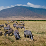 Ngorongoro Crater