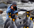 Snapping pics of penguins.