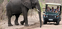 Vic Falls to Jo'burg Overland