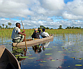 Explore Chobe National Park