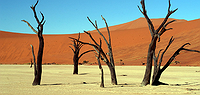 Cape & Dunes Experience