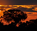 Kruger Camping Safari